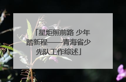 星炬照前路 少年踏新程——青海省少先队工作综述