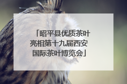 昭平县优质茶叶亮相第十九届西安国际茶叶博览会