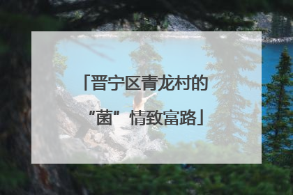 晋宁区青龙村的“菌”情致富路