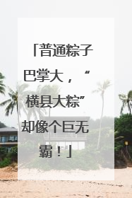 普通粽子巴掌大，“横县大粽”却像个巨无霸！