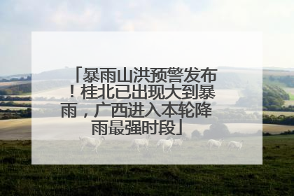 暴雨山洪预警发布！桂北已出现大到暴雨，广西进入本轮降雨最强时段