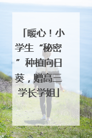 暖心！小学生“秘密”种植向日葵，赠高三学长学姐