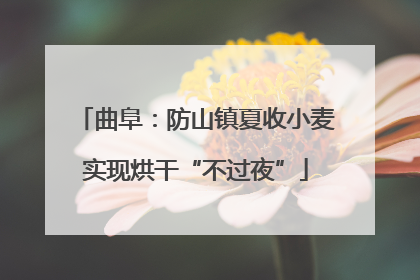 曲阜：防山镇夏收小麦实现烘干“不过夜”