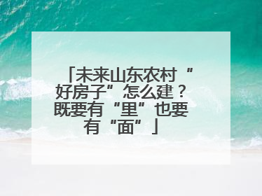 未来山东农村“好房子”怎么建？既要有“里”也要有“面”