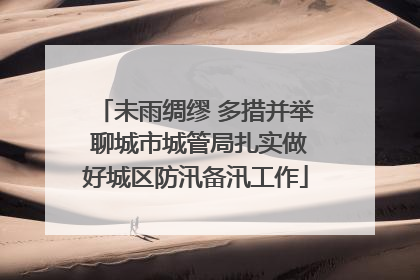 未雨绸缪 多措并举 聊城市城管局扎实做好城区防汛备汛工作