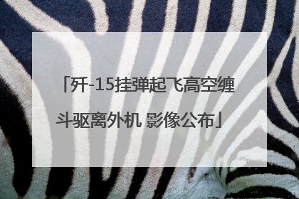 歼-15挂弹起飞高空缠斗驱离外机 影像公布