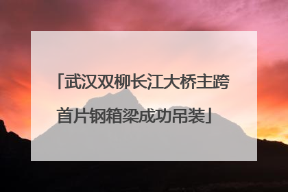 武汉双柳长江大桥主跨首片钢箱梁成功吊装