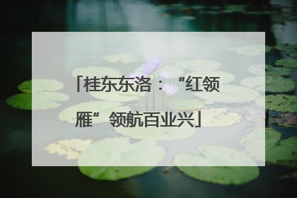 桂东东洛：“红领雁”领航百业兴
