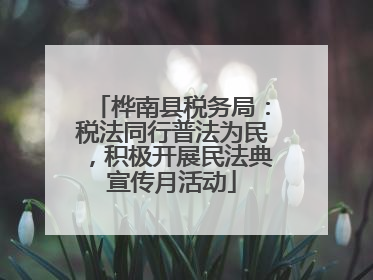 桦南县税务局：税法同行普法为民，积极开展民法典宣传月活动