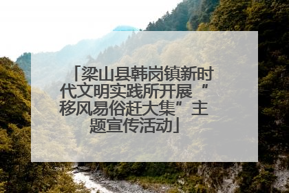 梁山县韩岗镇新时代文明实践所开展“移风易俗赶大集”主题宣传活动