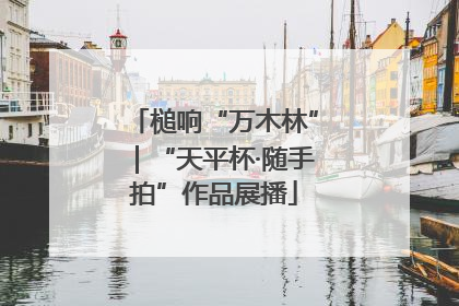 槌响“万木林”｜“天平杯·随手拍”作品展播