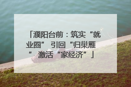 濮阳台前：筑实“就业圈” 引回“归巢雁” 激活“家经济”