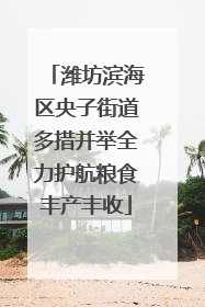 潍坊滨海区央子街道多措并举全力护航粮食丰产丰收