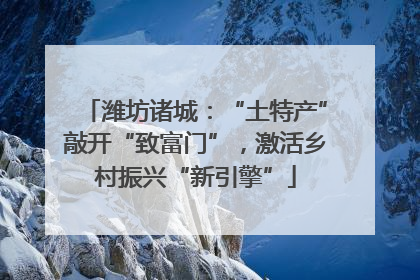 潍坊诸城：“土特产”敲开“致富门”，激活乡村振兴“新引擎”