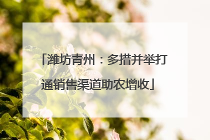 潍坊青州：多措并举打通销售渠道助农增收