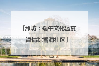 潍坊：端午文化盛宴 温情粽香润社区