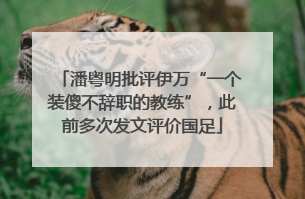 潘粤明批评伊万“一个装傻不辞职的教练”，此前多次发文评价国足