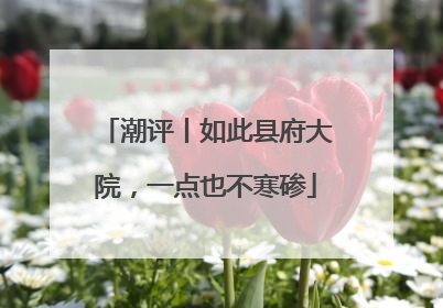 潮评丨如此县府大院，一点也不寒碜