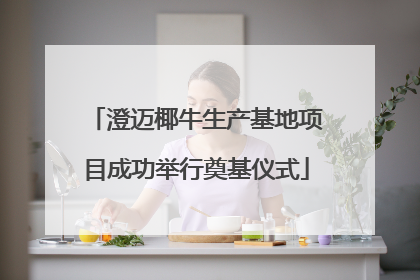 澄迈椰牛生产基地项目成功举行奠基仪式