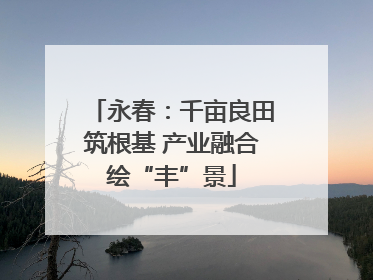 永春：千亩良田筑根基 产业融合绘“丰”景
