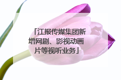 江报传媒集团新增网剧、影视动画片等视听业务