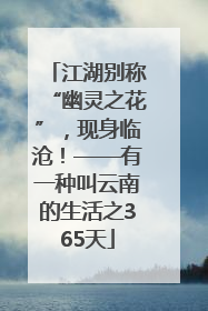 江湖别称“幽灵之花”，现身临沧！——有一种叫云南的生活之365天