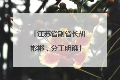 江苏省副省长胡彬郴，分工明确