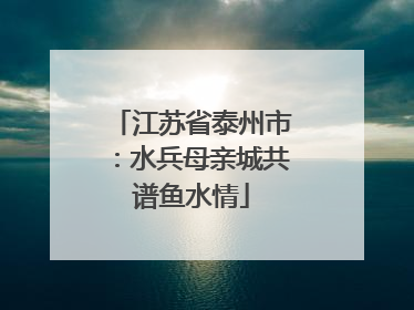 江苏省泰州市：水兵母亲城共谱鱼水情