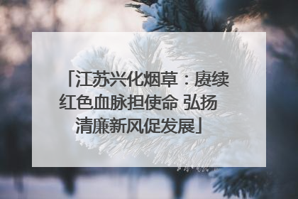 江苏兴化烟草：赓续红色血脉担使命 弘扬清廉新风促发展