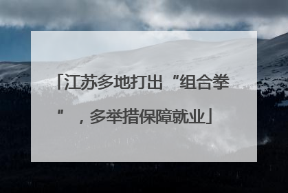 江苏多地打出“组合拳”，多举措保障就业