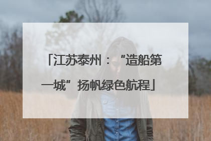 江苏泰州：“造船第一城”扬帆绿色航程