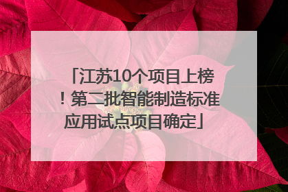 江苏10个项目上榜！第二批智能制造标准应用试点项目确定