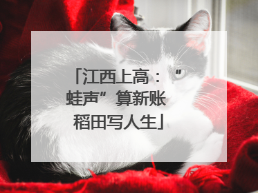 江西上高：“蛙声”算新账 稻田写人生