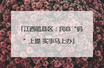 江西赣县区：民意“码”上提 实事马上办