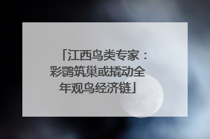江西鸟类专家：彩鹮筑巢或撬动全年观鸟经济链