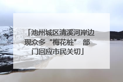 池州城区清溪河岸边现众多“梅花桩” 部门回应市民关切