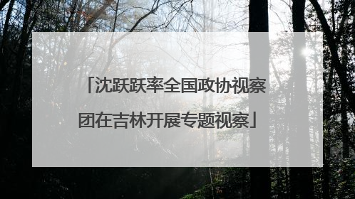 沈跃跃率全国政协视察团在吉林开展专题视察