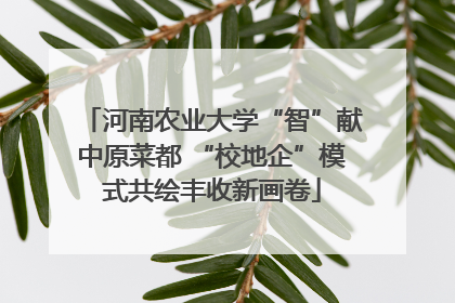 河南农业大学“智”献中原菜都 “校地企”模式共绘丰收新画卷