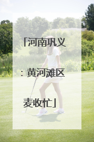 河南巩义：黄河滩区麦收忙