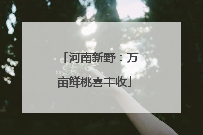河南新野：万亩鲜桃喜丰收