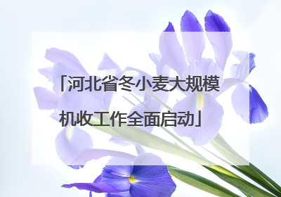 河北省冬小麦大规模机收工作全面启动