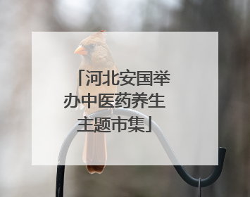 河北安国举办中医药养生主题市集
