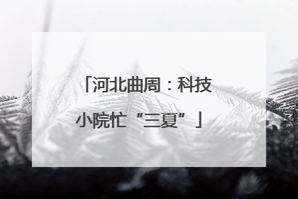 河北曲周：科技小院忙“三夏”