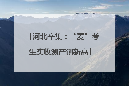 河北辛集：“麦”考生实收测产创新高