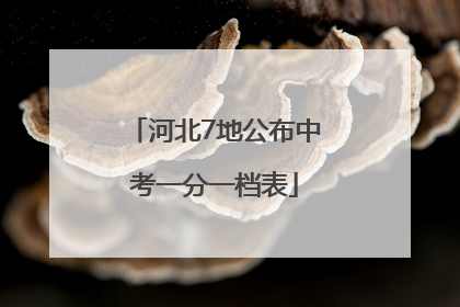 河北7地公布中考一分一档表