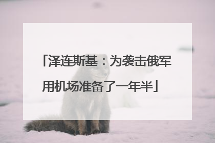 泽连斯基：为袭击俄军用机场准备了一年半
