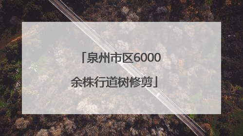 泉州市区6000余株行道树修剪