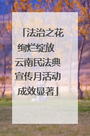 法治之花绚烂绽放 云南民法典宣传月活动成效显著