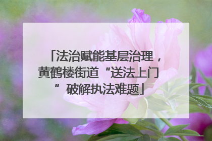 法治赋能基层治理，黄鹤楼街道“送法上门”破解执法难题