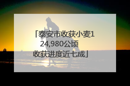 泰安市收获小麦124,980公顷 收获进度近七成